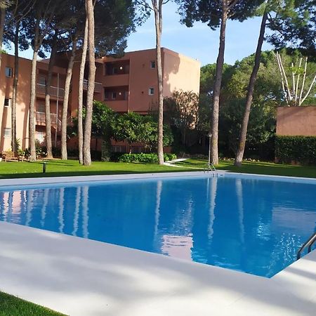 Bonito Apartamento, Con Piscina, Excelente Wifi Y Aire Acondicionado パルス エクステリア 写真