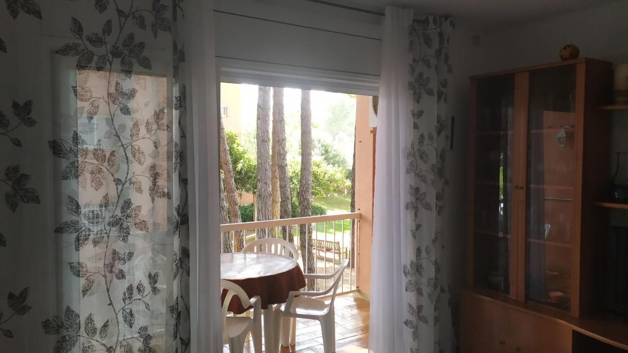 Bonito Apartamento, Con Piscina, Excelente Wifi Y Aire Acondicionado パルス エクステリア 写真
