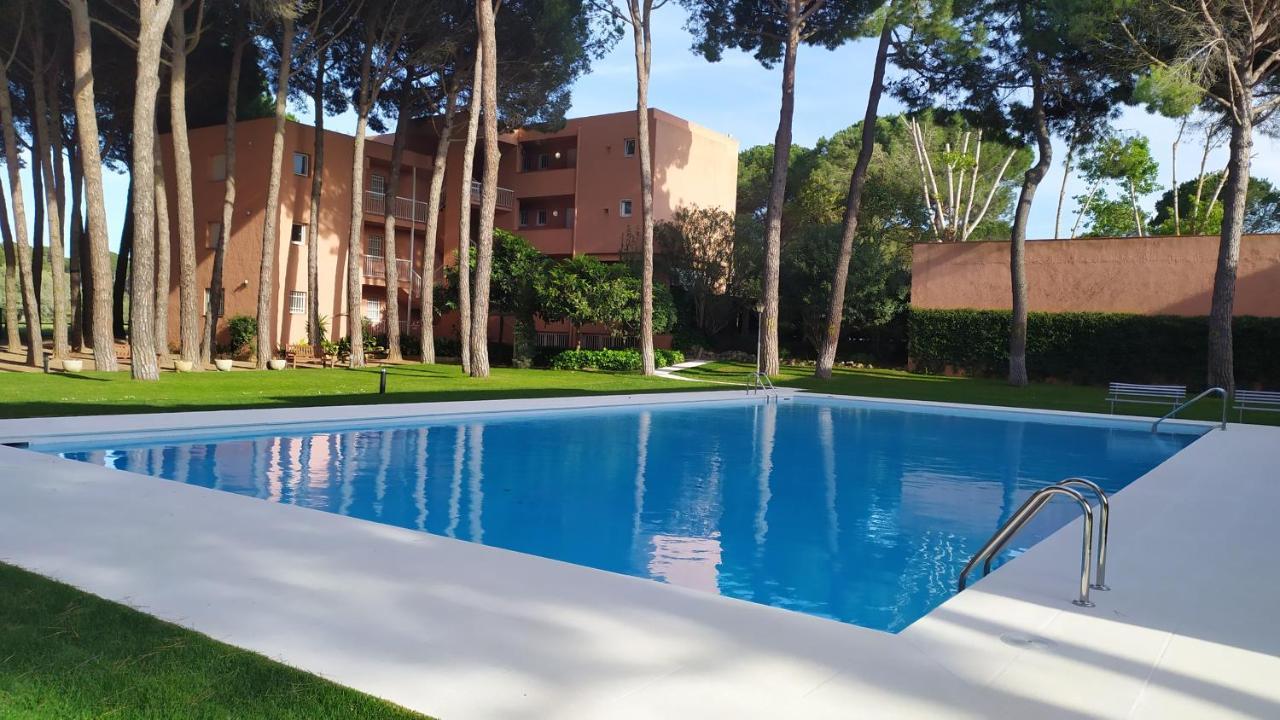 Bonito Apartamento, Con Piscina, Excelente Wifi Y Aire Acondicionado パルス エクステリア 写真