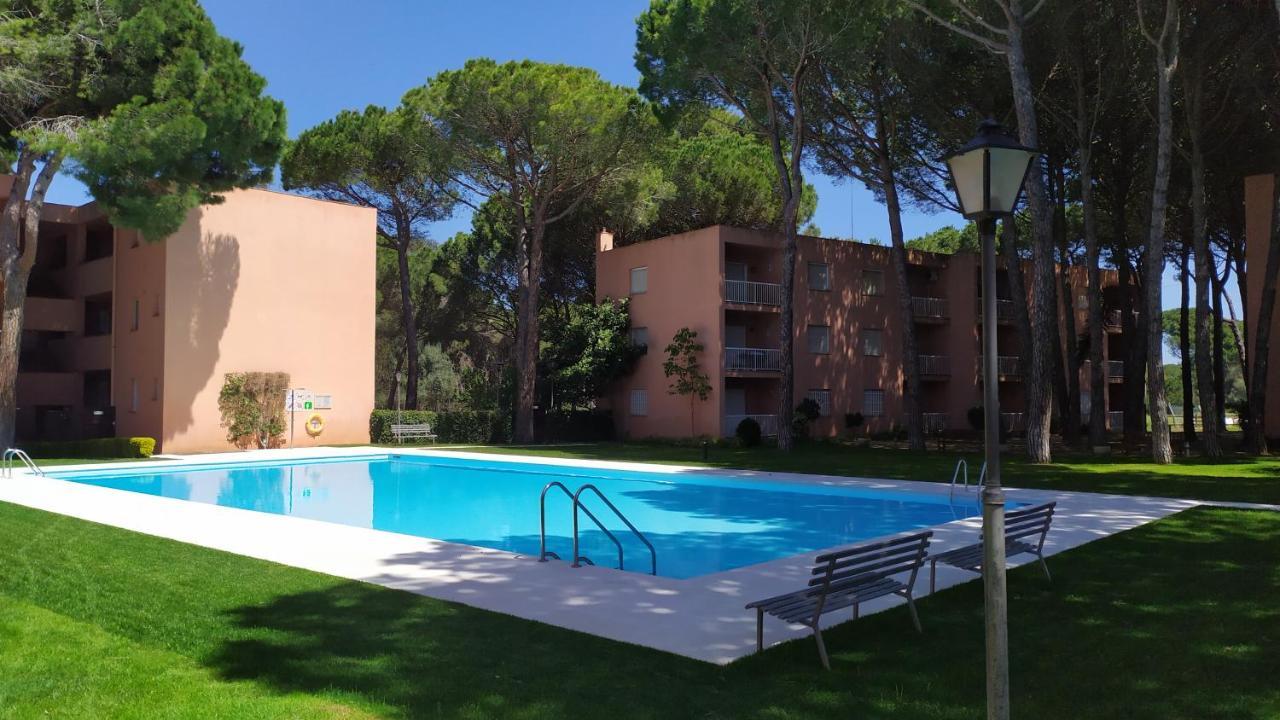 Bonito Apartamento, Con Piscina, Excelente Wifi Y Aire Acondicionado パルス エクステリア 写真