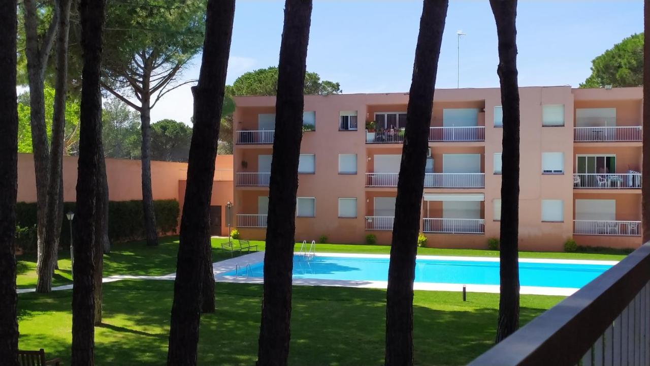 Bonito Apartamento, Con Piscina, Excelente Wifi Y Aire Acondicionado パルス エクステリア 写真