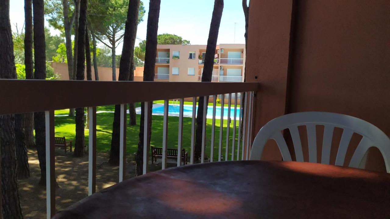 Bonito Apartamento, Con Piscina, Excelente Wifi Y Aire Acondicionado パルス エクステリア 写真