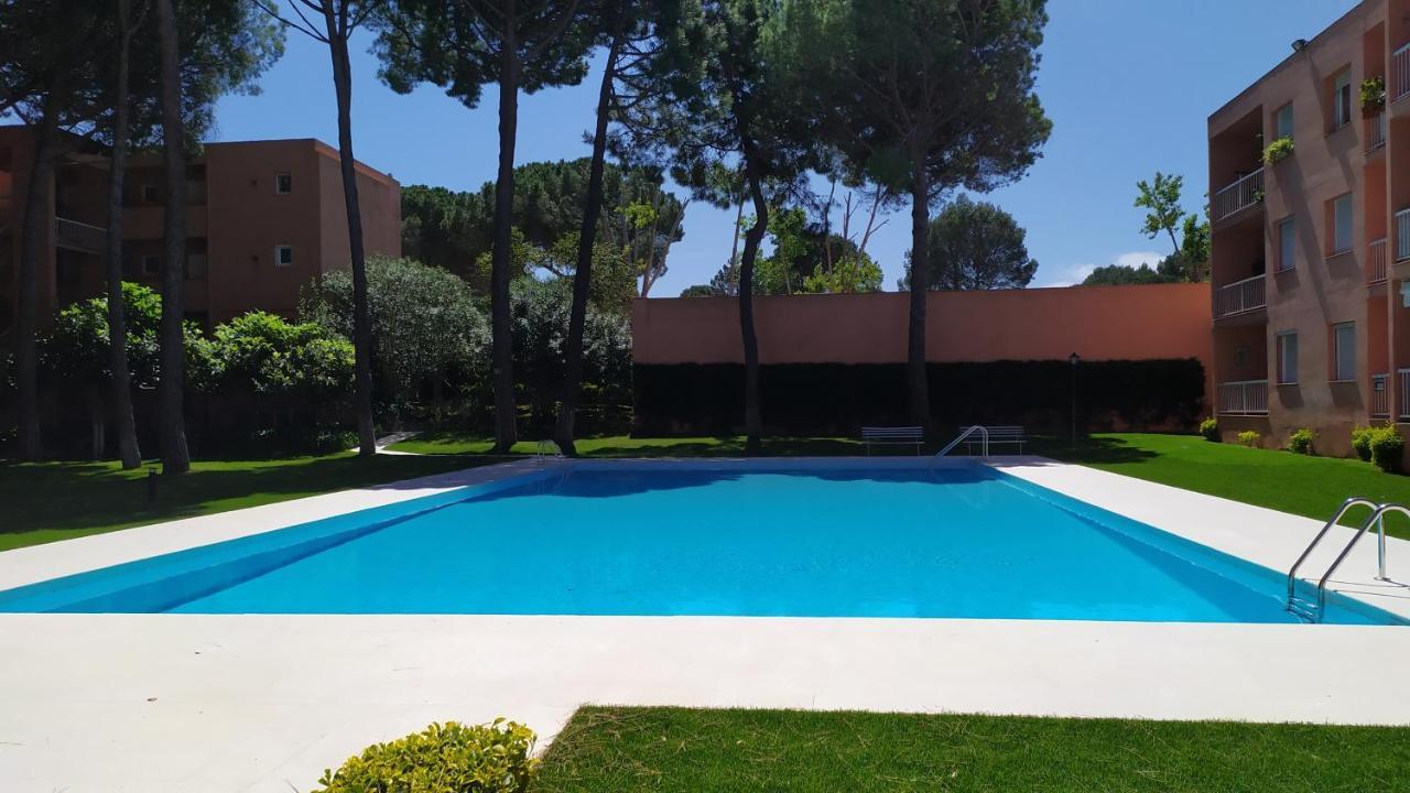 Bonito Apartamento, Con Piscina, Excelente Wifi Y Aire Acondicionado パルス エクステリア 写真