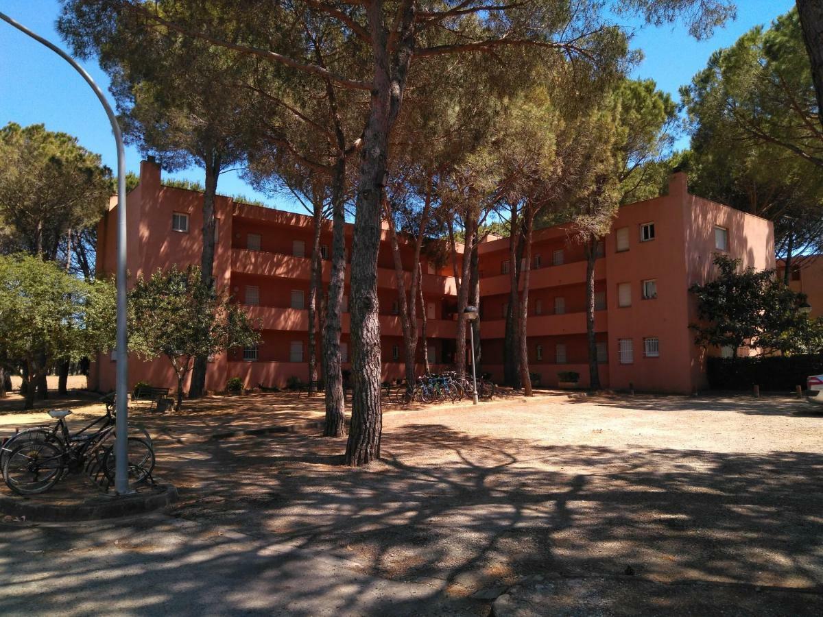 Bonito Apartamento, Con Piscina, Excelente Wifi Y Aire Acondicionado パルス エクステリア 写真